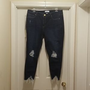 Women's Lane Bryant plus size distressed jeans